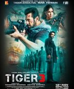 Tiger 3 (2023)
